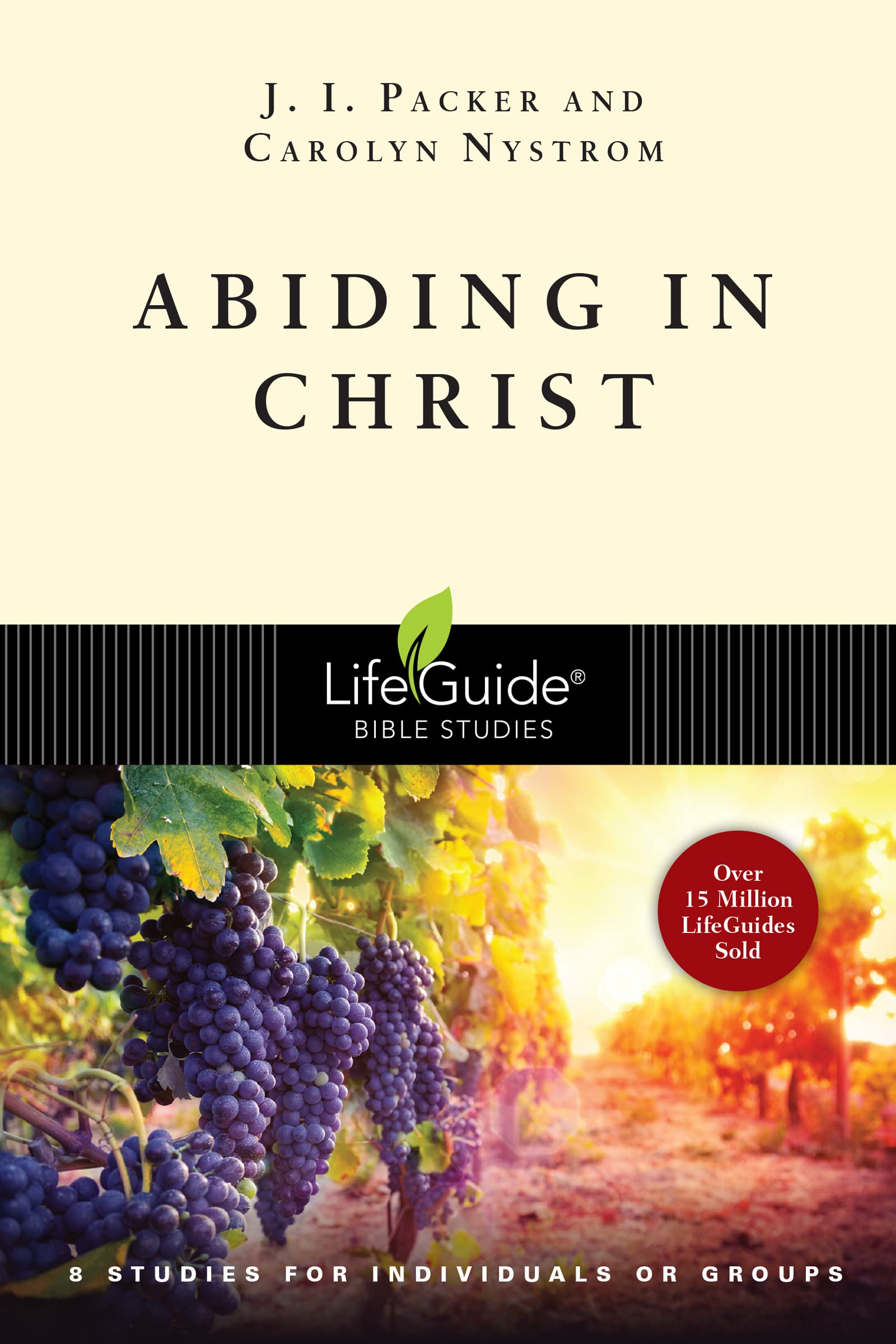Abiding in Christ (LifeGuide Bible Studies),Used