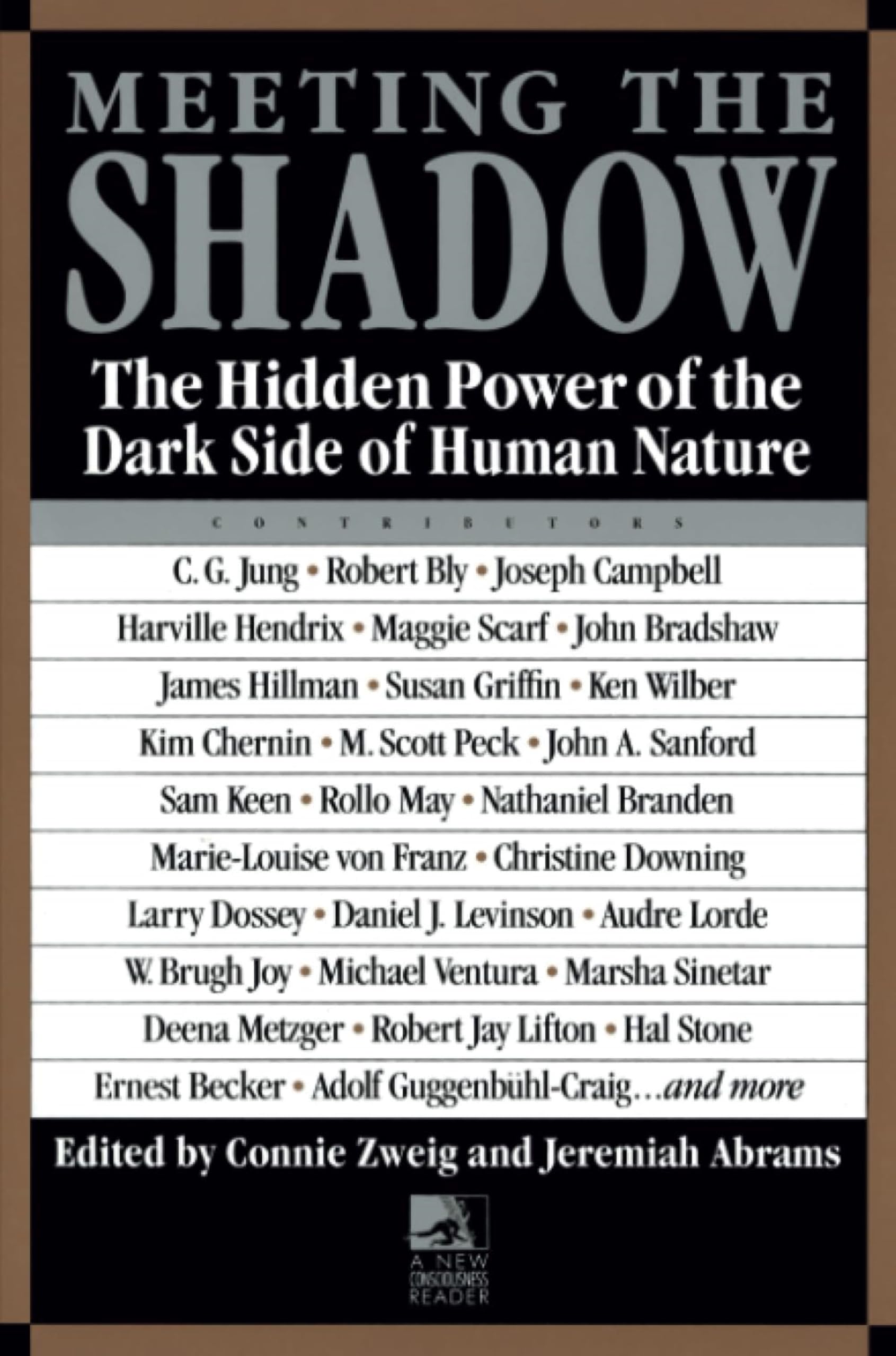 Meeting The Shadow: The Hidden Power Of The Dark Side Of Human Nature-used