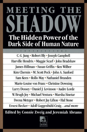 Meeting The Shadow: The Hidden Power Of The Dark Side Of Human Nature-used