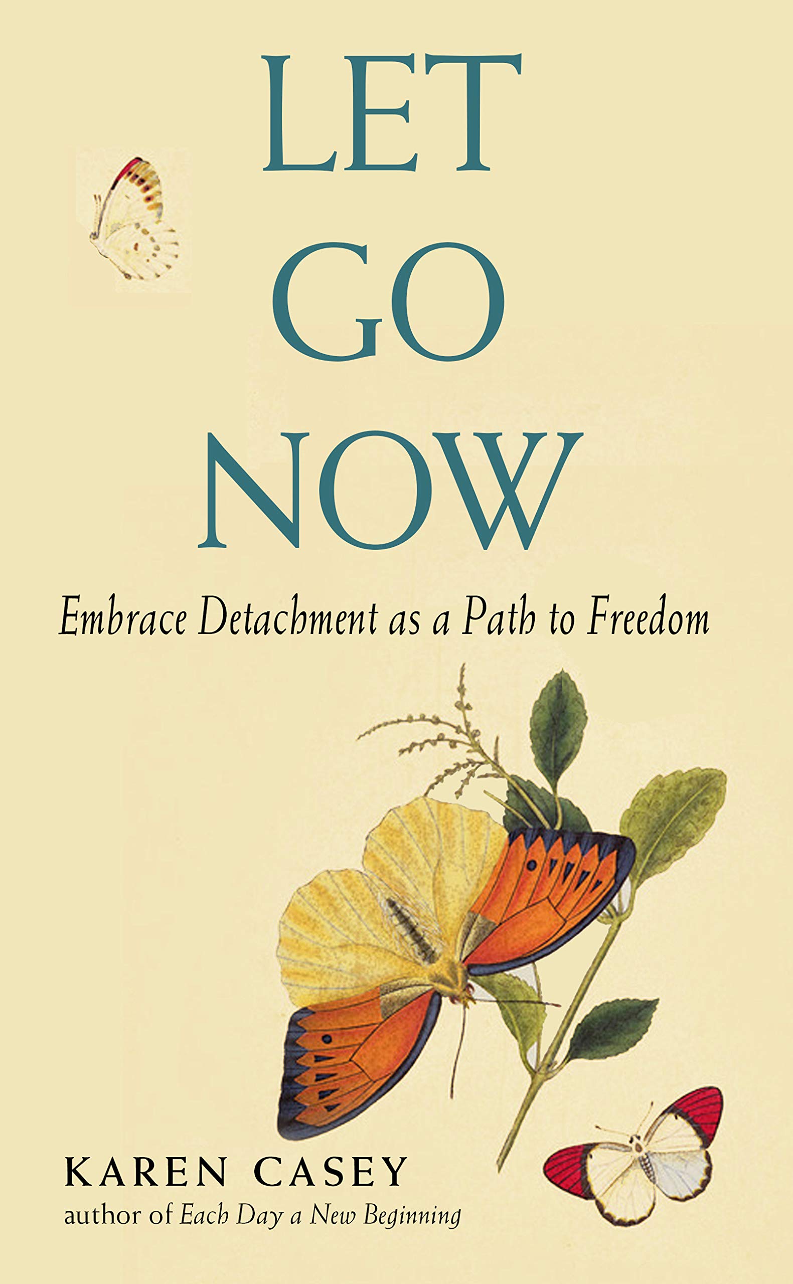 Let Go Now: Embrace Detachment as a Path to Freedom (Addiction Recovery and AlAnon SelfHelp Book),Used