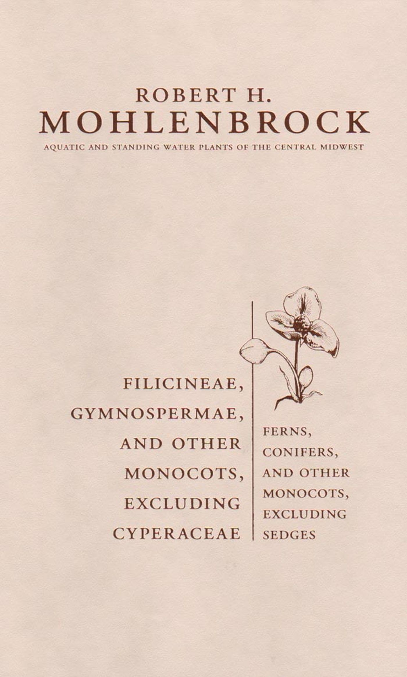 Filicineae, Gymnospermae And Other Monocots Excluding Cyperaceae: Ferns, Conifers, And Other Monocots Excluding Sedges (Volume 2,Used