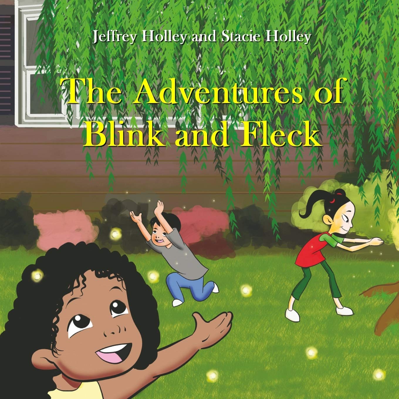 The Adventures of Blink & Fleck,Used