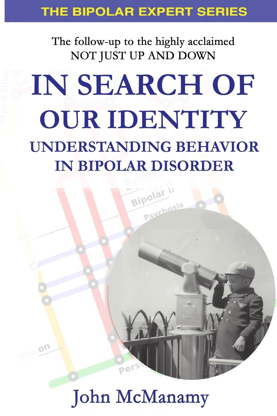 In Search of Our Identity: Understanding Behavior In Bipolar Disorder (The Bipolar Expert Series),Used