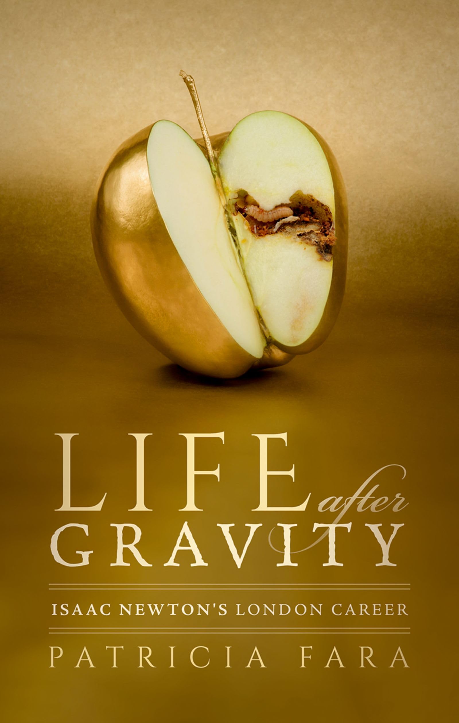 Life after Gravity: Isaac Newton's London Career,Used