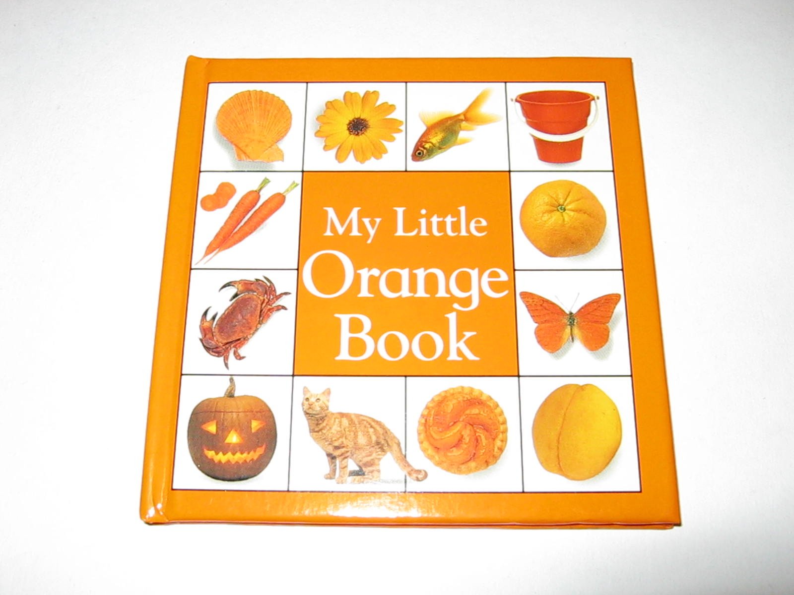 My Little Orange Book (My Little Color Library),Used