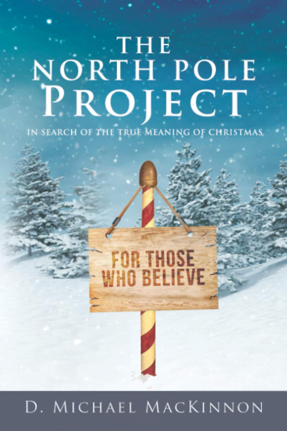The North Pole Project: In Search of the True Meaning of Christmas,Used