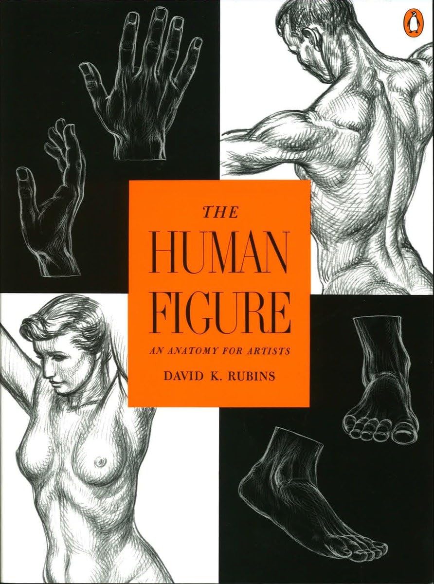 The Human Figure: An Anatomy For Artists
