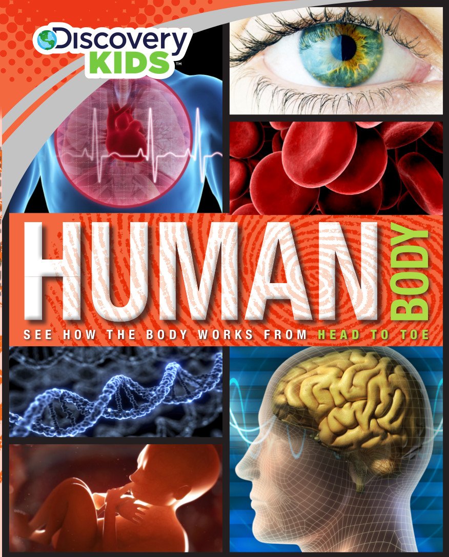 Human Body (Discovery Kids),Used