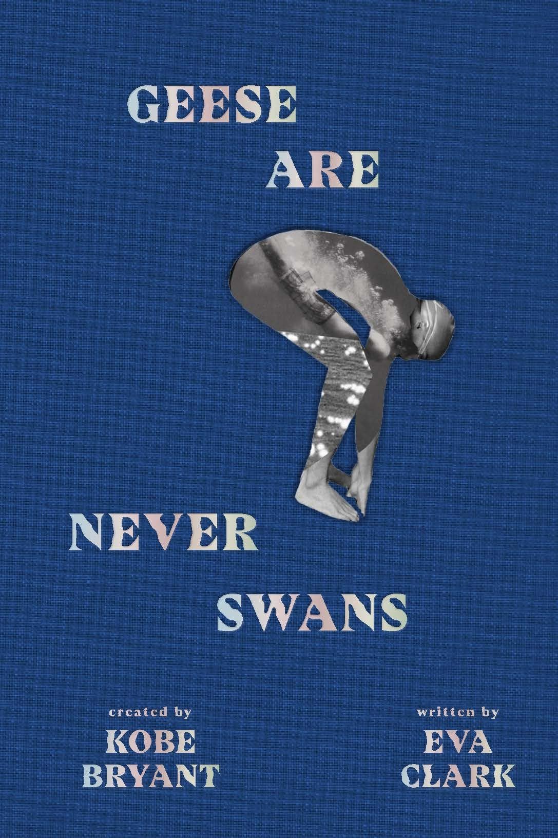 Geese Are Never Swans,Used