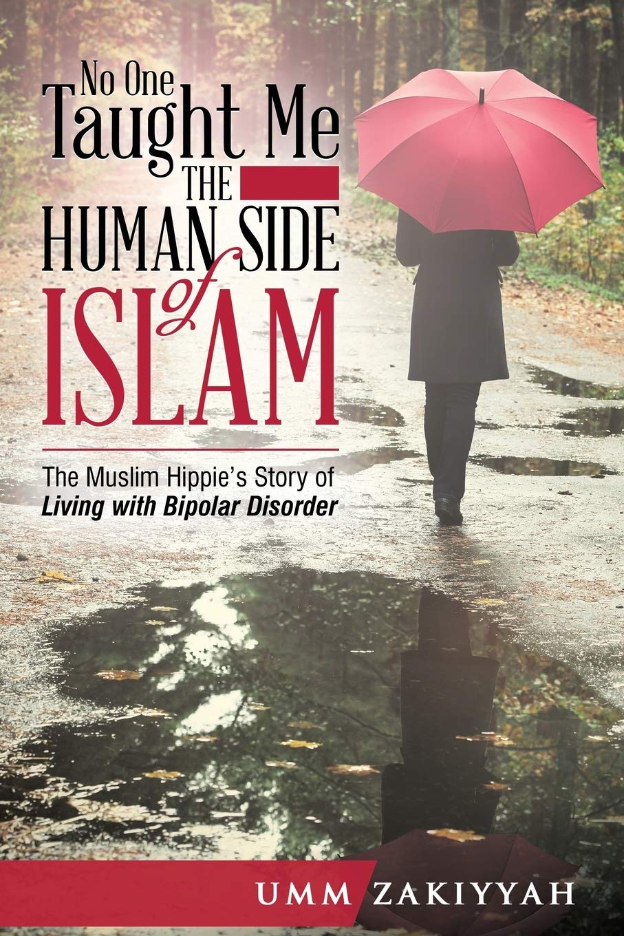 No One Taught Me the Human Side of Islam: The Muslim Hippies Story of Living with Bipolar Disorder,Used