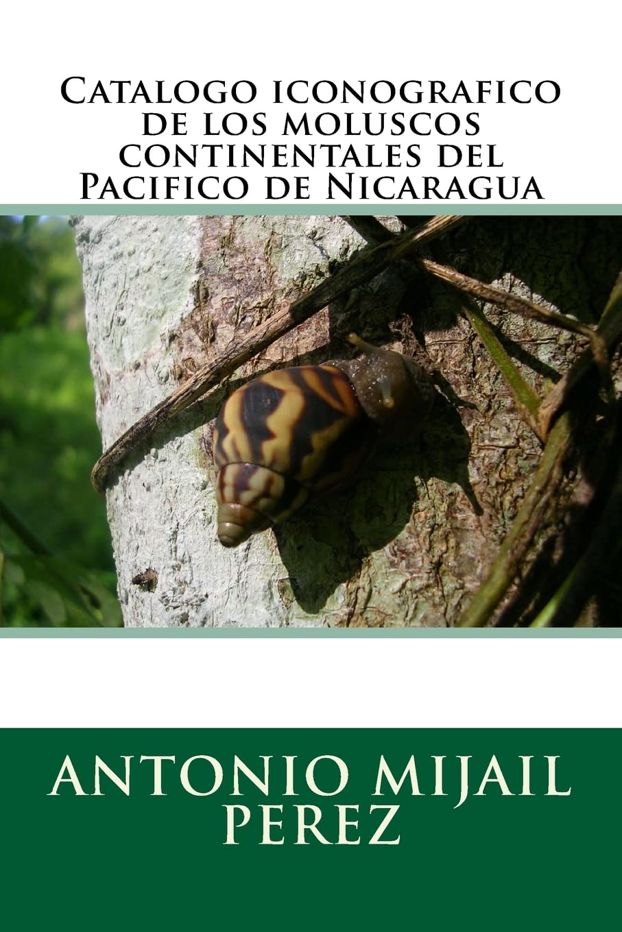 Catalogo iconografico de los moluscos continentales del Pacifico de Nicaragua (Spanish Edition),Used