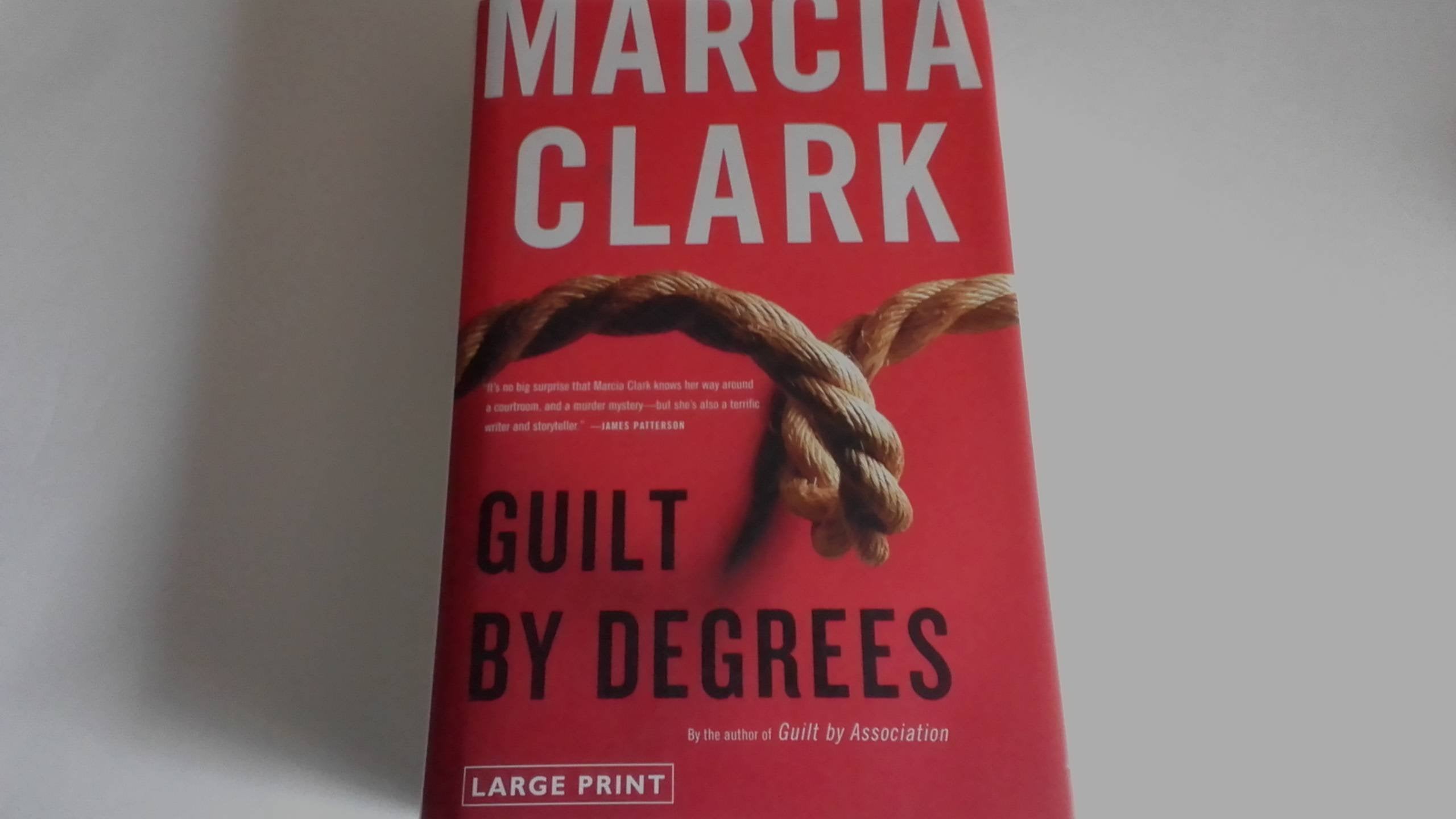 Guilt By Degrees (A Rachel Knight Novel, 2)
