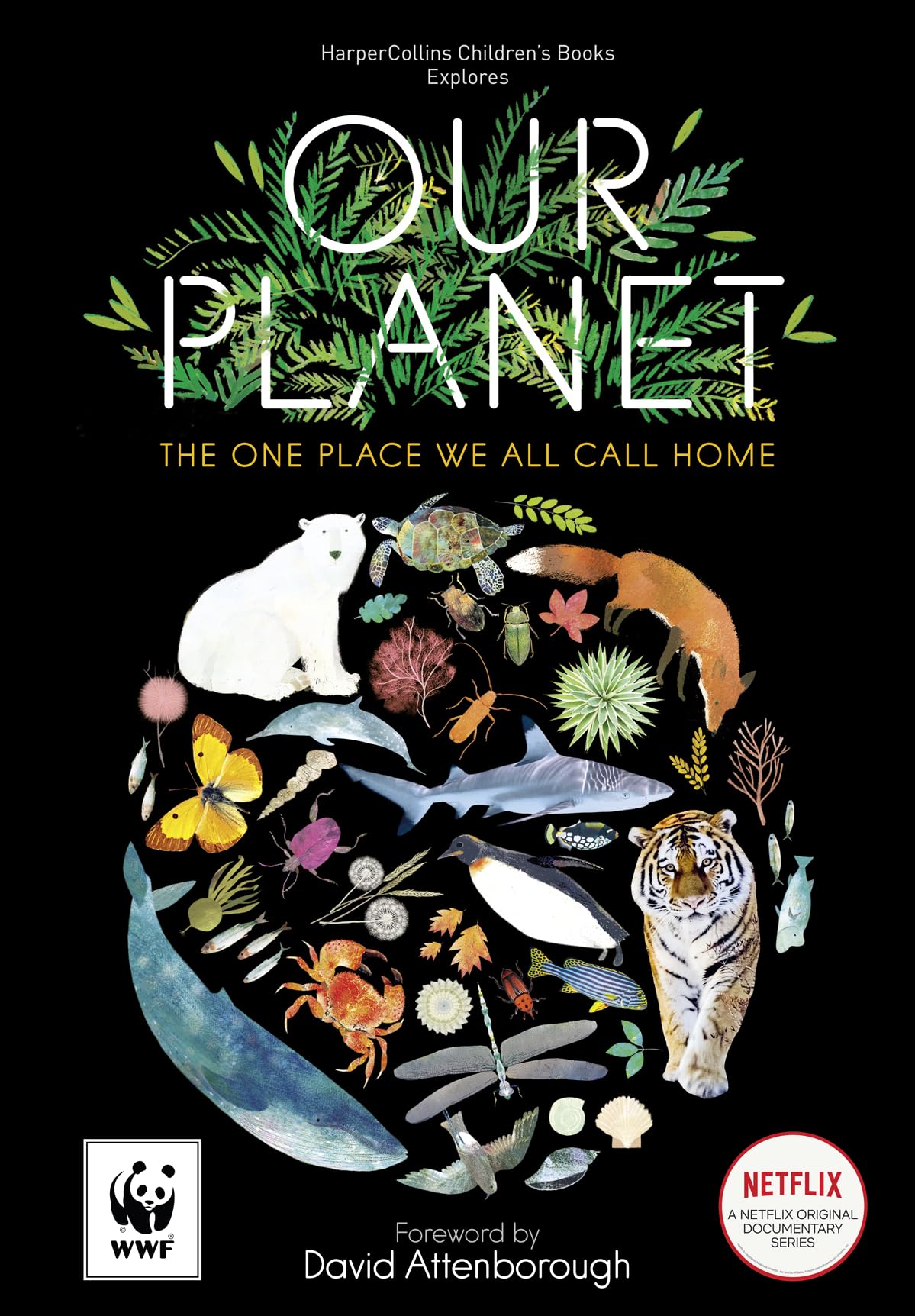Our Planet: The One Place We All Call Home,Used