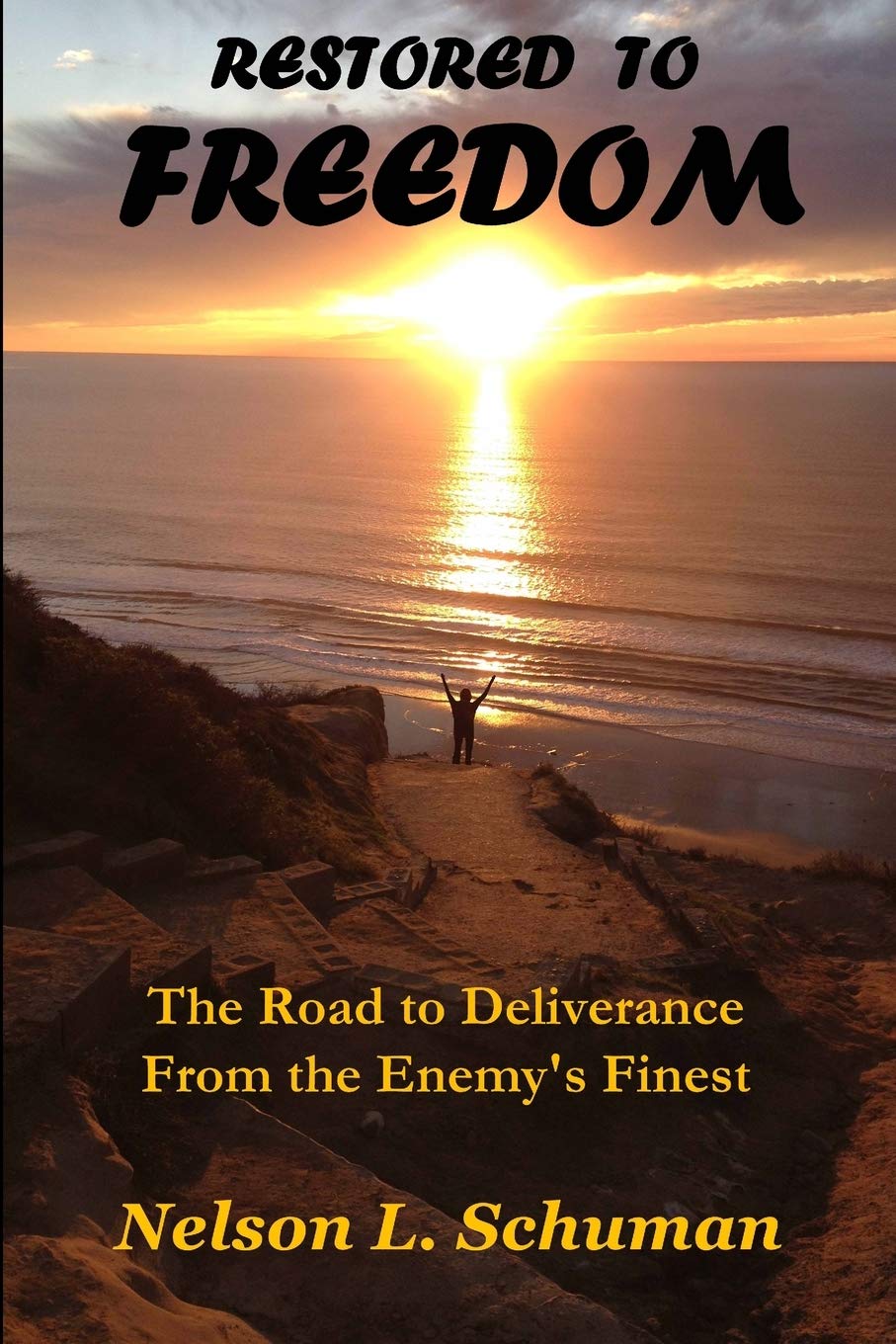 Restored To Freedom: Restored To Freedom Changes The Lives And Marriages Of People From Pain, Hopelessness And Brokenness To Lov