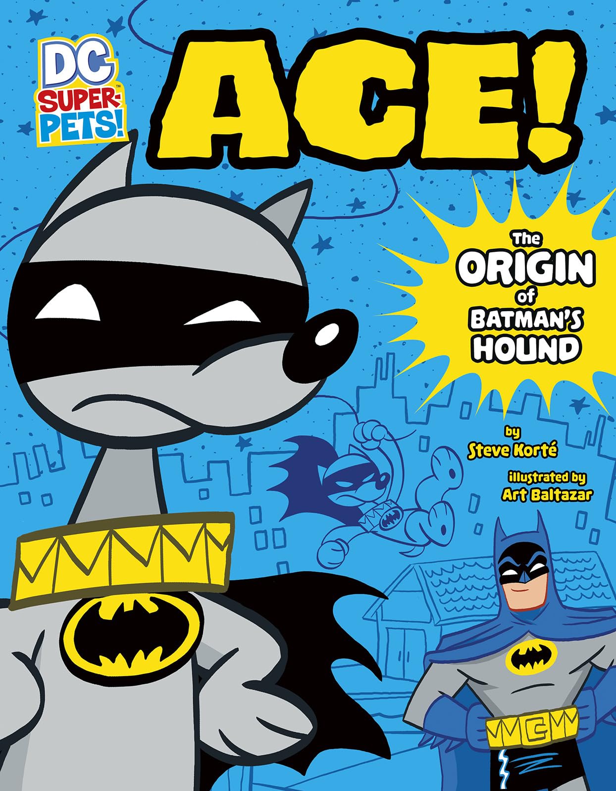 Ace: The Origin of Batman's Dog (DC SuperPets Origin Stories),Used