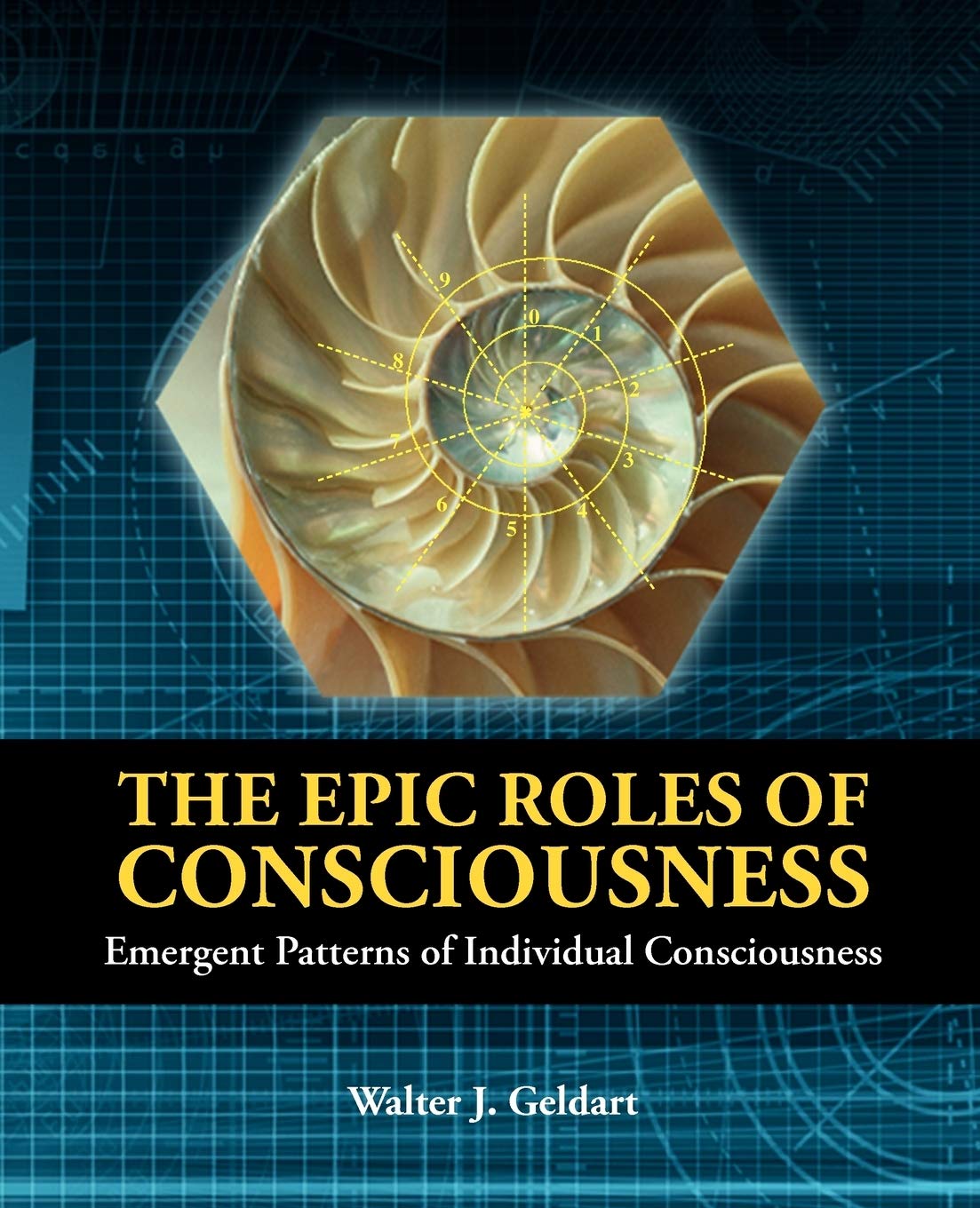 The Epic Roles of Consciousness: Emergent Patterns of Individual Consciousness,Used