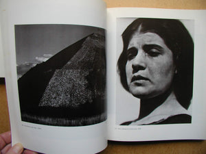 The Daybooks Of Edward Weston, Vol. 1: Mexico,Used