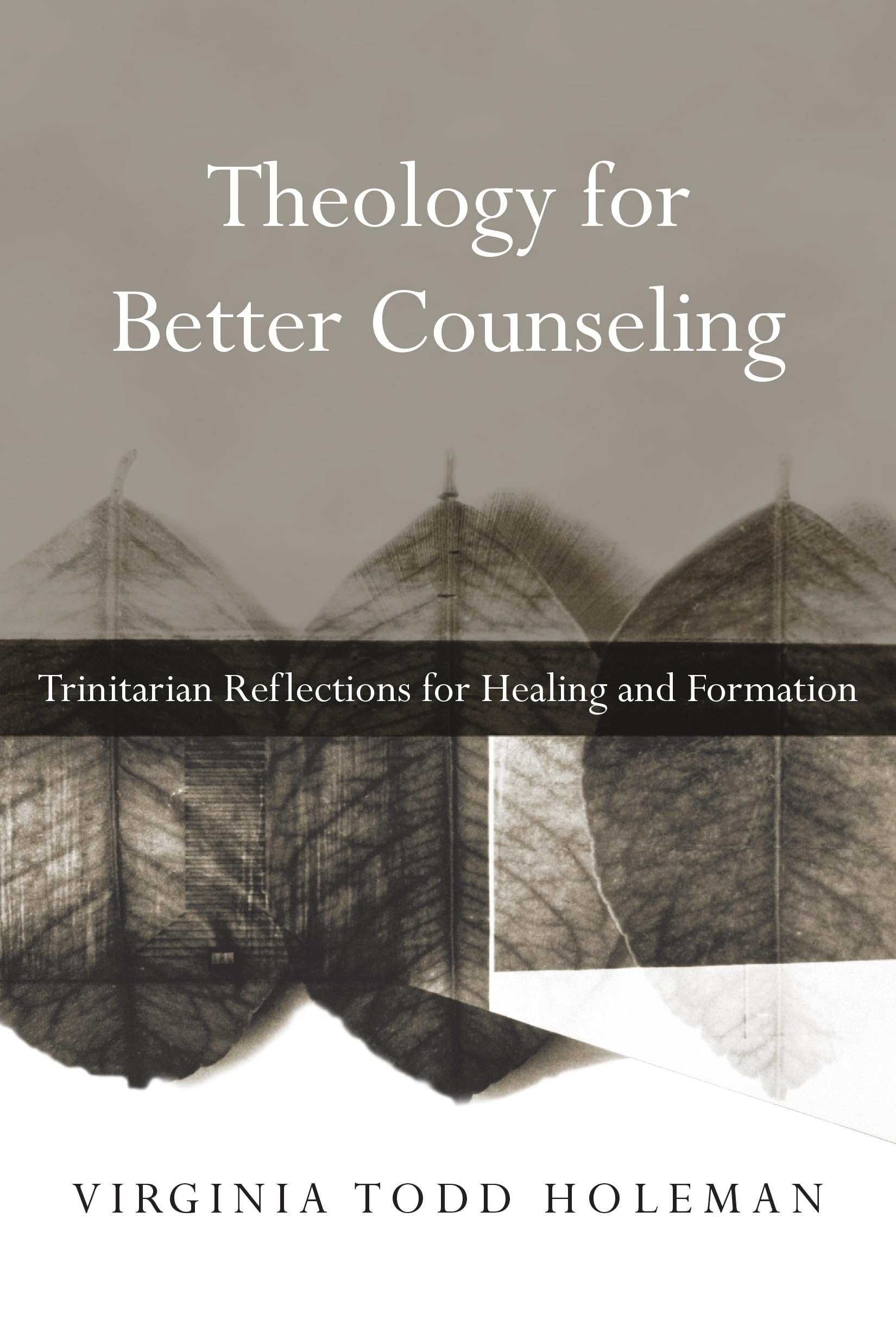 Theology For Better Counseling: Trinitarian Reflections For Healing And Formation (Christian Association For Psychological Studi-new