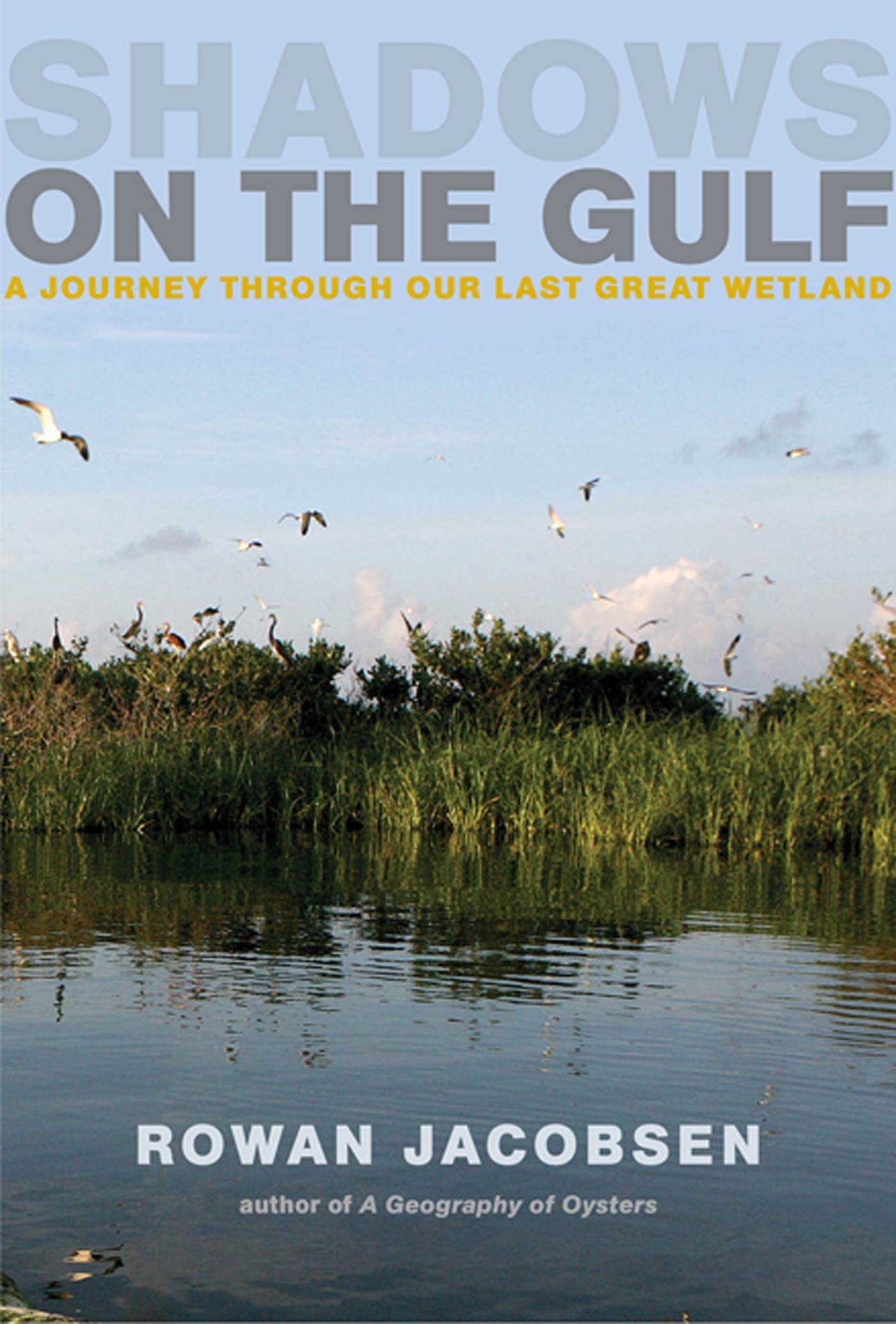 Shadows On The Gulf: A Journey Through Our Last Great Wetland,Used