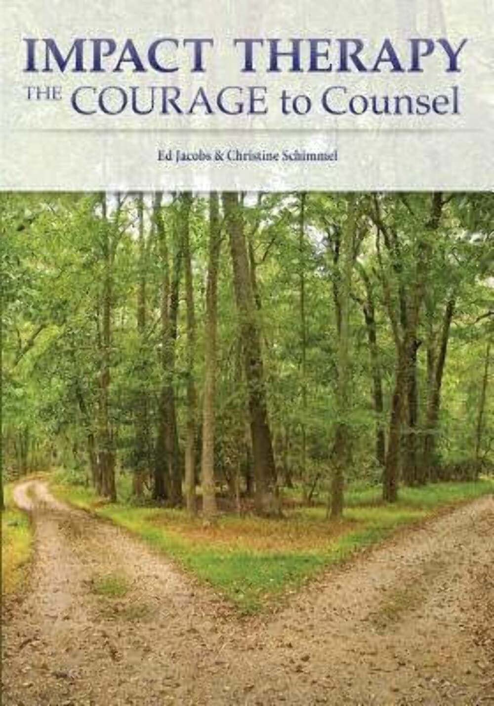 Impact Therapy: The Courage to Counsel,Used