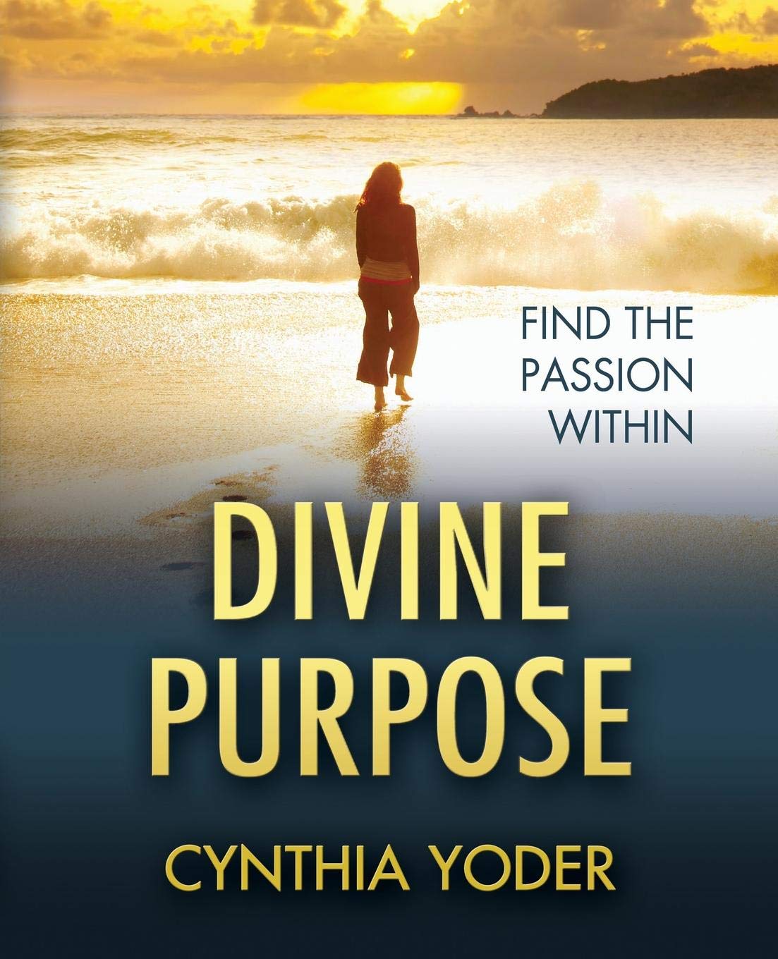 Divine Purpose, Find the Passion Within,Used