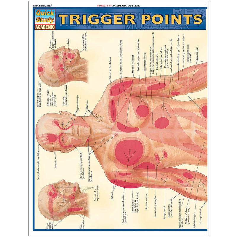 Trigger Points QuickStudy Laminated Reference Guide (QuickStudy Academic),New