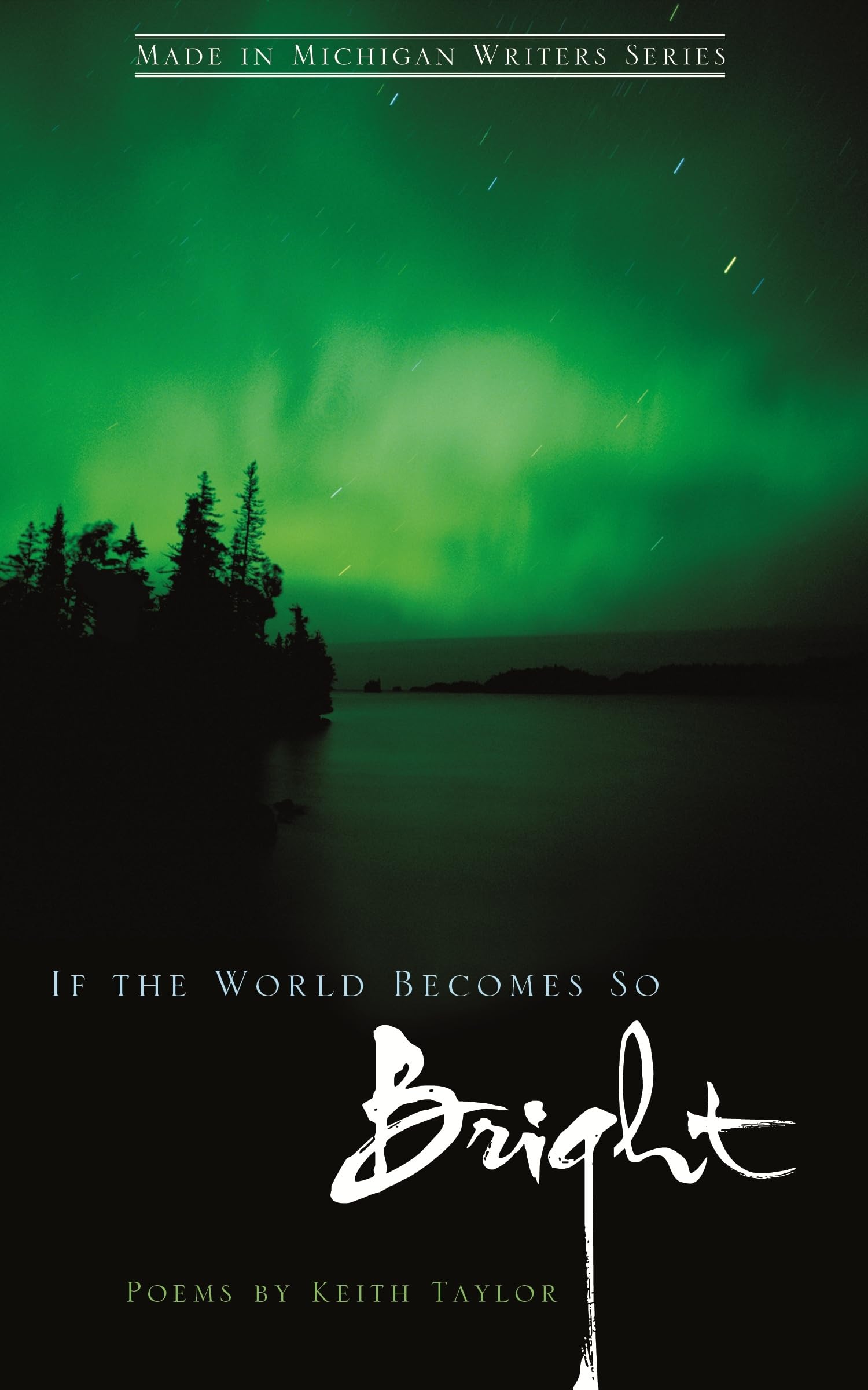 If The World Becomes So Bright (Made In Michigan Writer Series),New