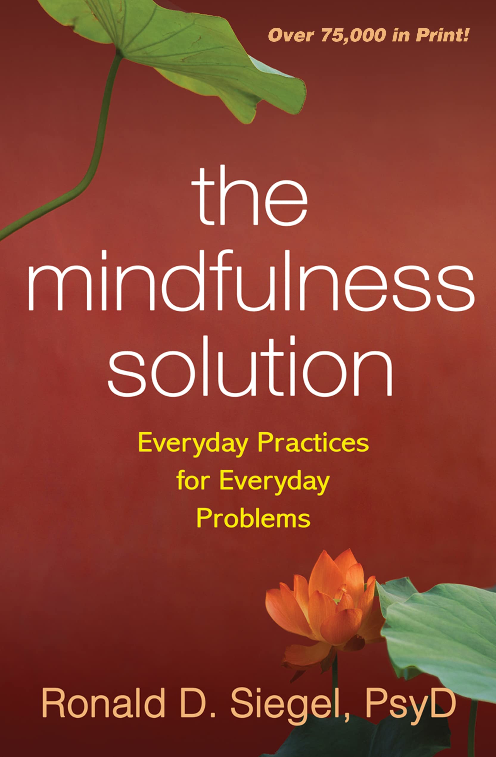 The Mindfulness Solution: Everyday Practices for Everyday Problems,Used