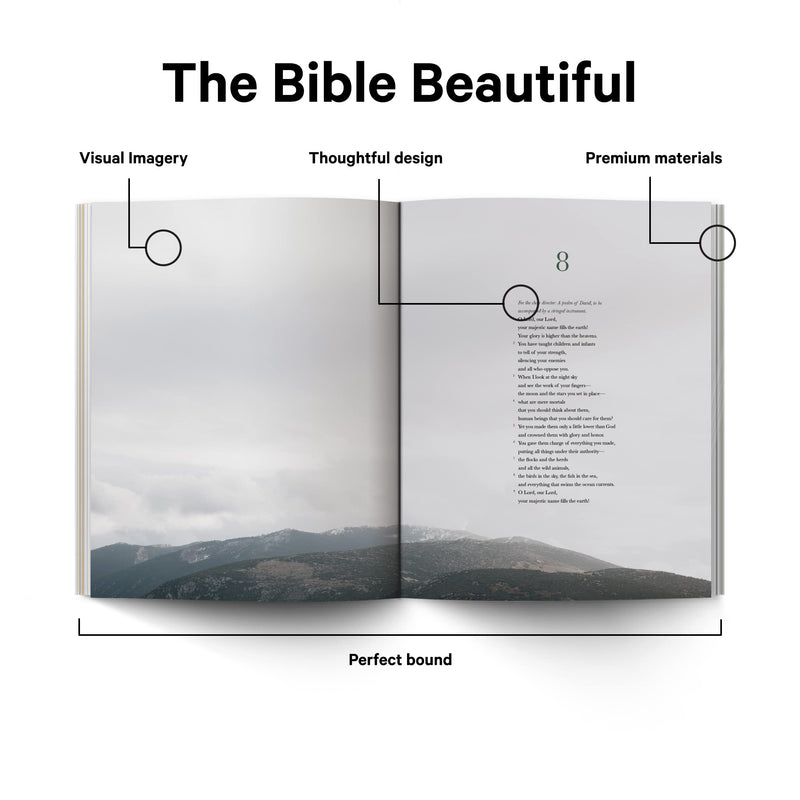 Book Of Psalms  Alabaster Bible,New