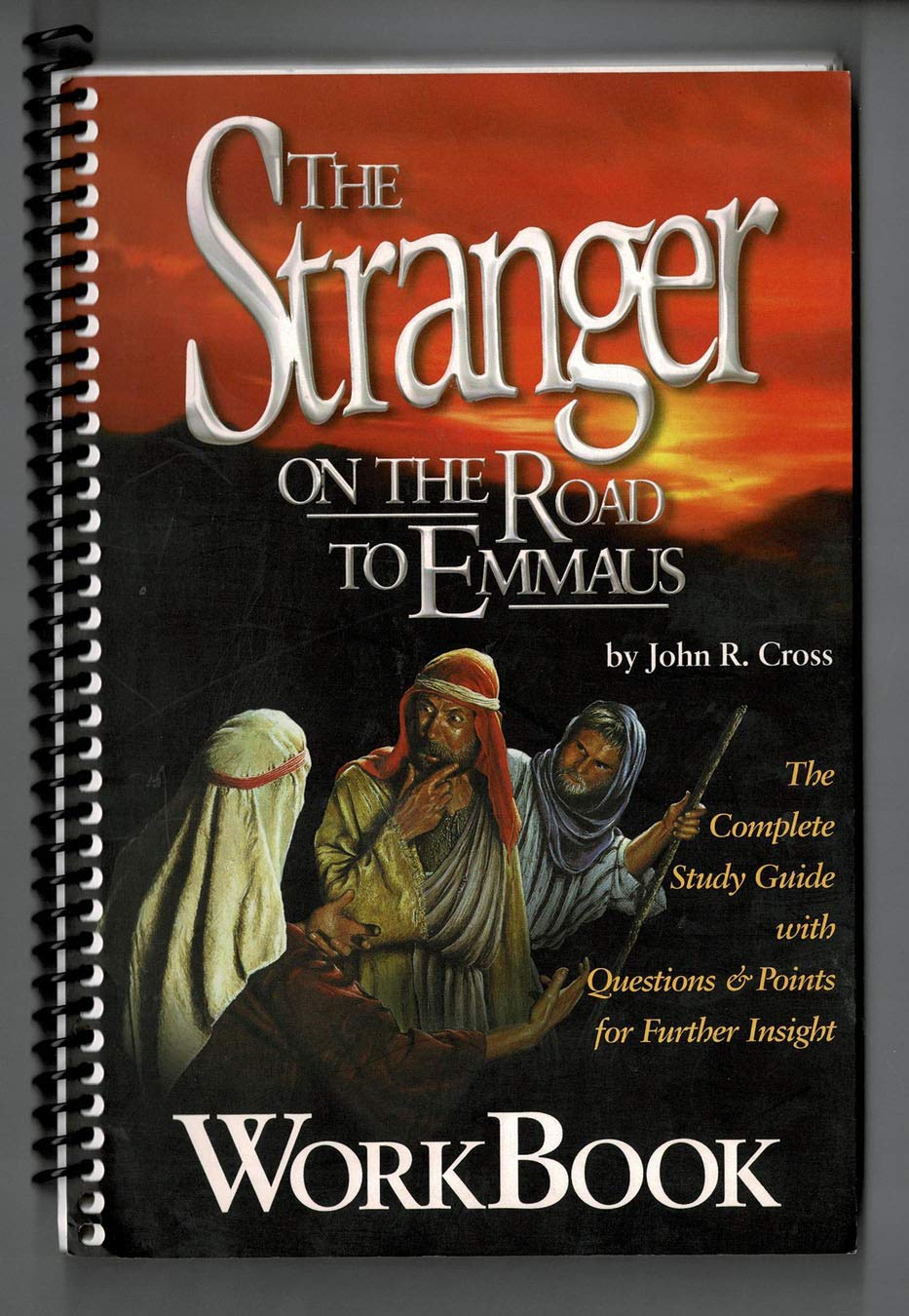 The Stranger on the Road to Emmaus Workbook (Spiralbound),Used