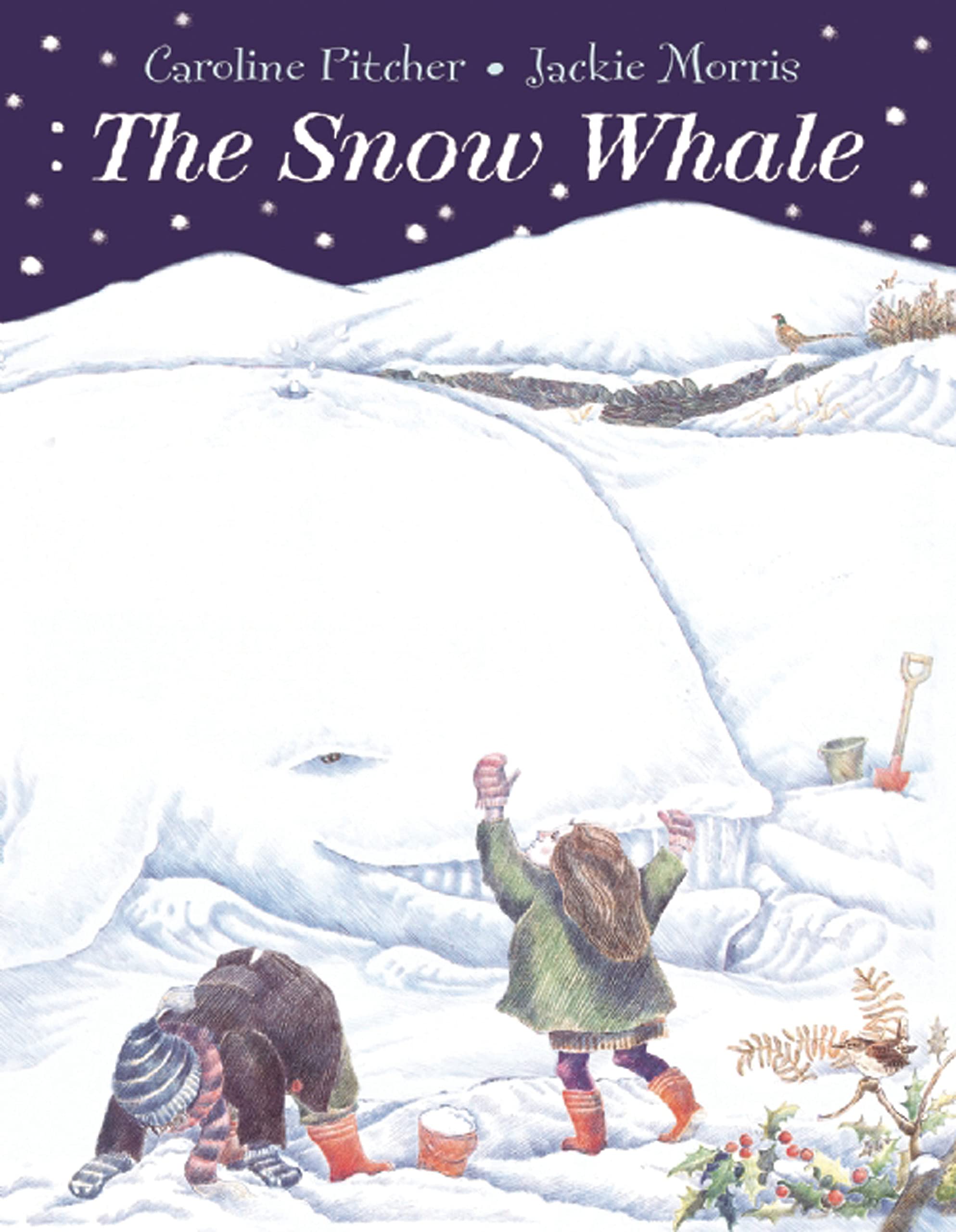 The Snow Whale,Used