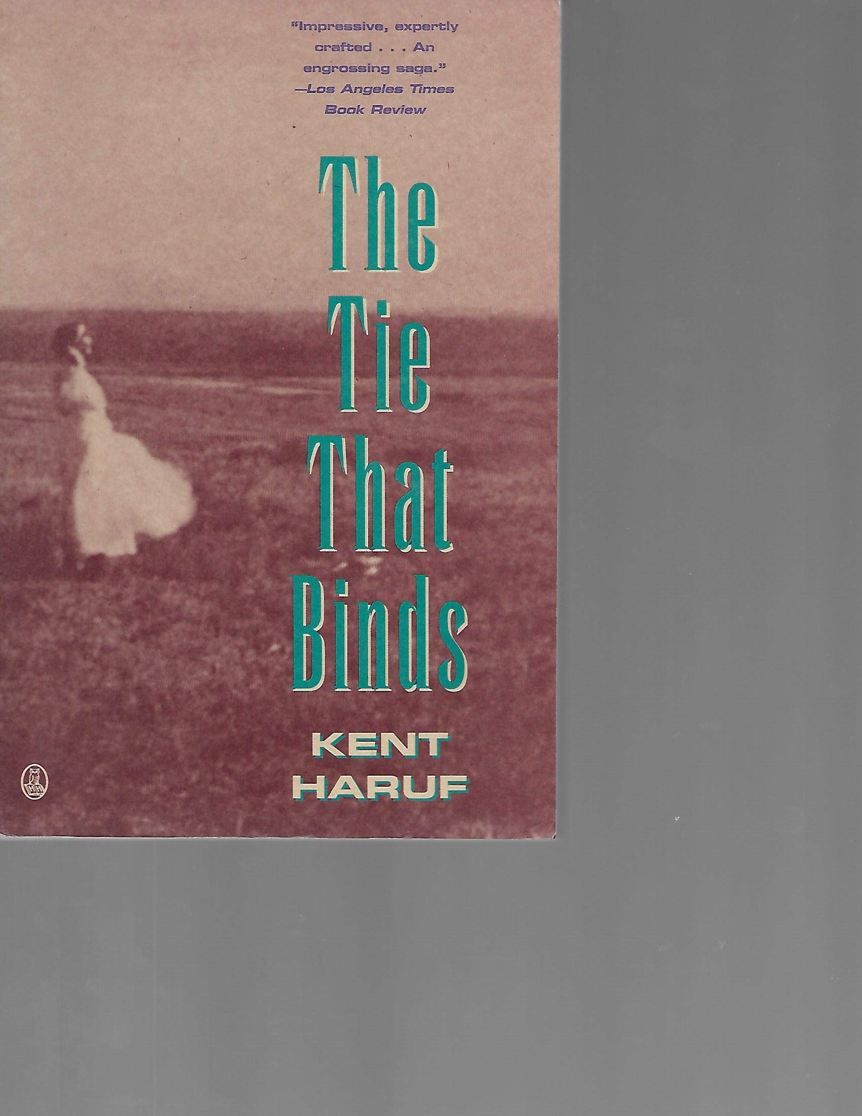 The Tie That Binds: A Novel,Used