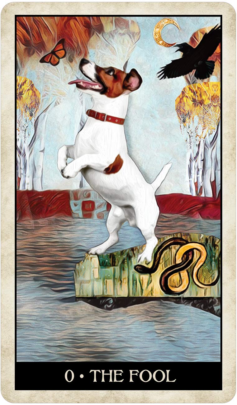 Wise Dog Tarot,Used