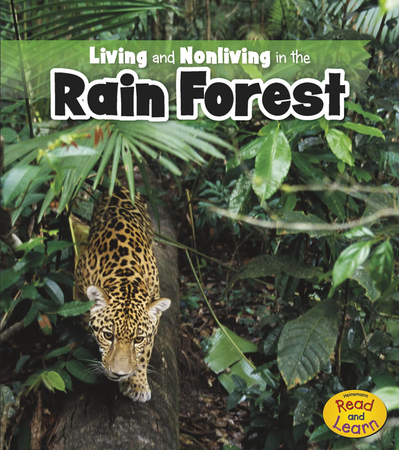 Living and Nonliving in the Rain Forest (Heinemann Read and Learn: Is It Living or Nonliving?),Used