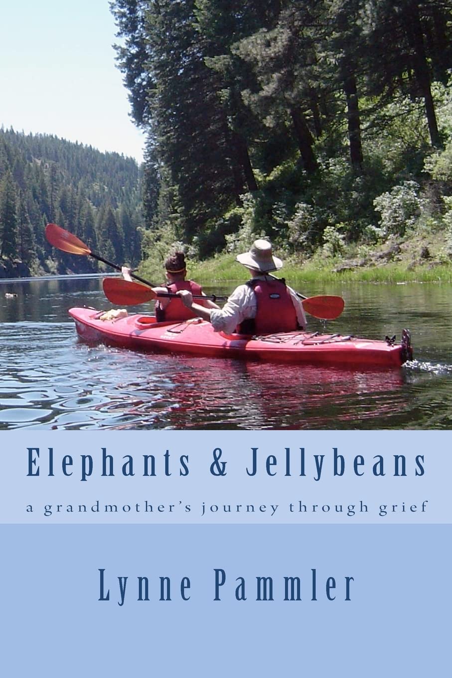 Elephants & Jellybeans: A Grandmother'S Journey Through Grief,Used