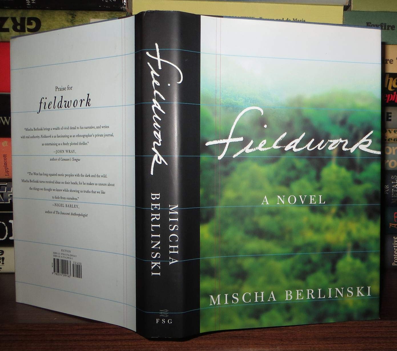 Fieldwork: A Novel