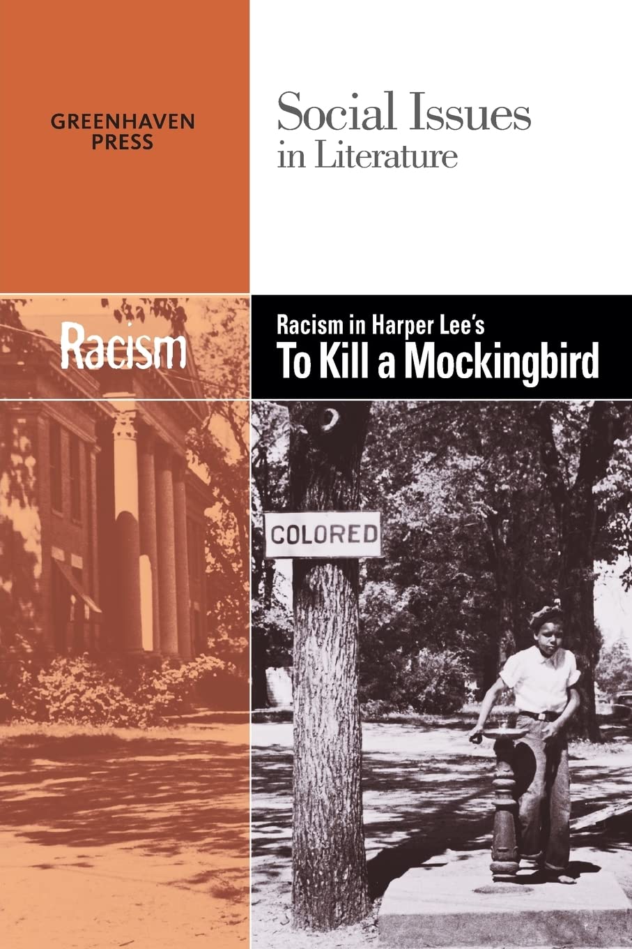 Racism in Harper Lee's 'To Kill a Mockingbird' (Social Issues in Literature),Used