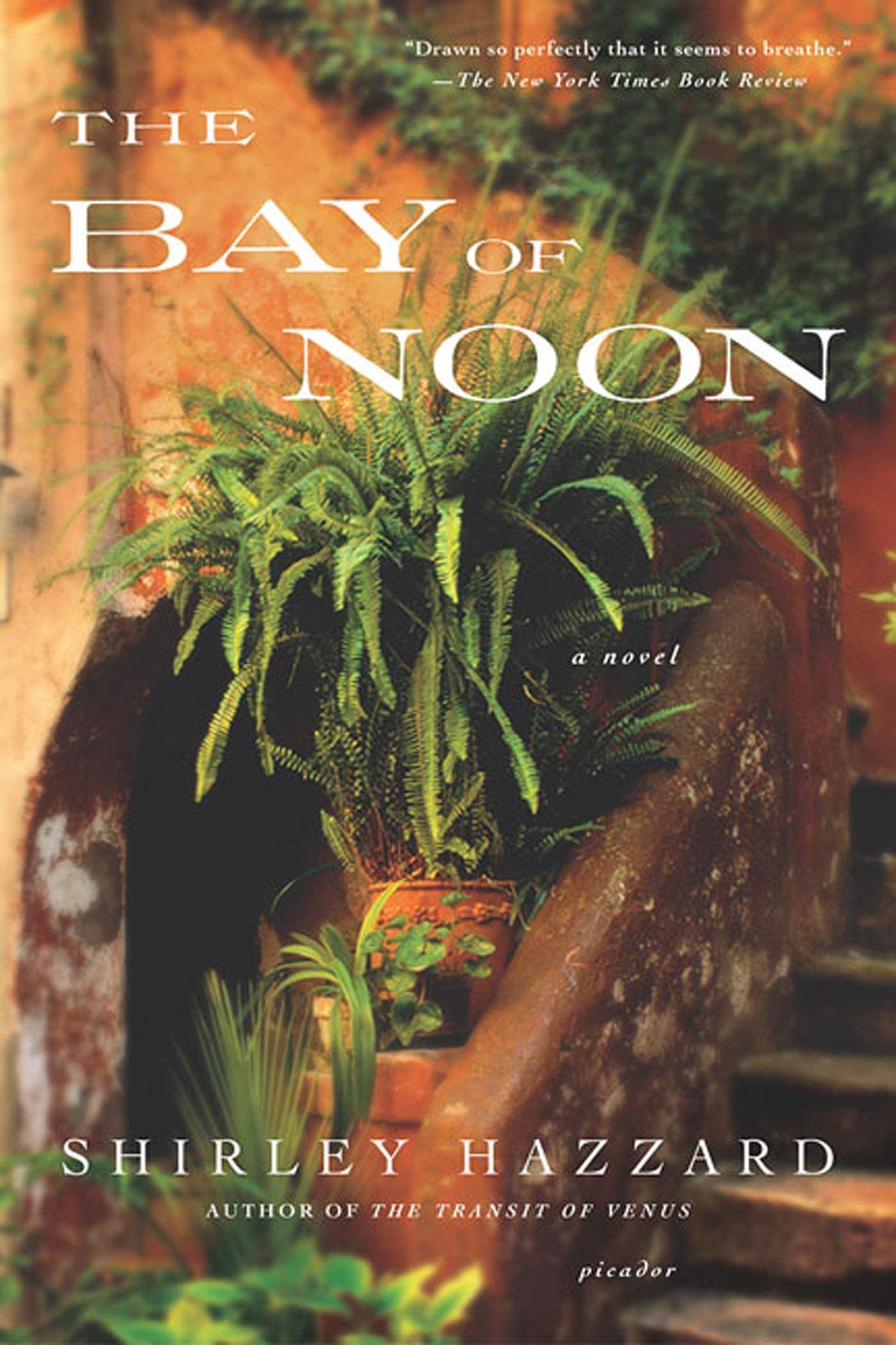 The Bay of Noon: A Novel,Used