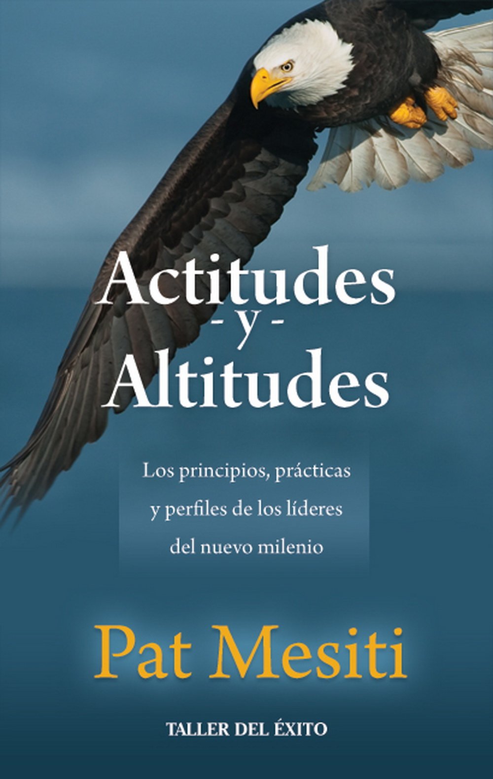 Actitudes Y Altitudes (Spanish Edition),Used