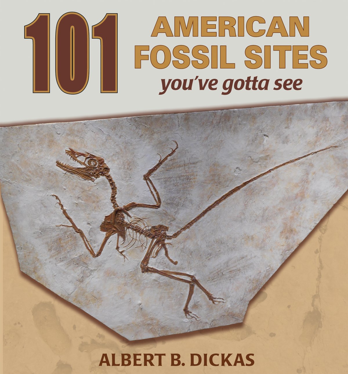 101 American Fossil Sites You've Gotta See,Used