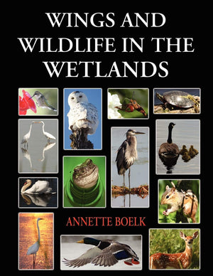 Wings And Wildlife In The Wetlands,Used