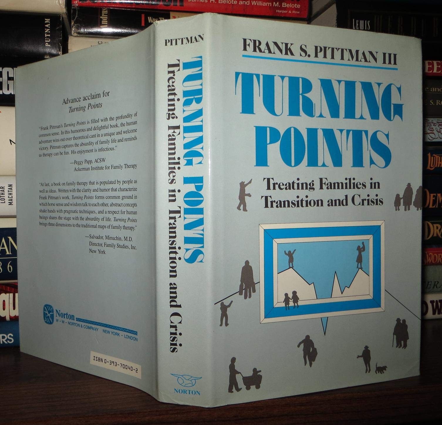Turning Points: Treating Families in Transition and Crisis (Norton Professional Book),Used