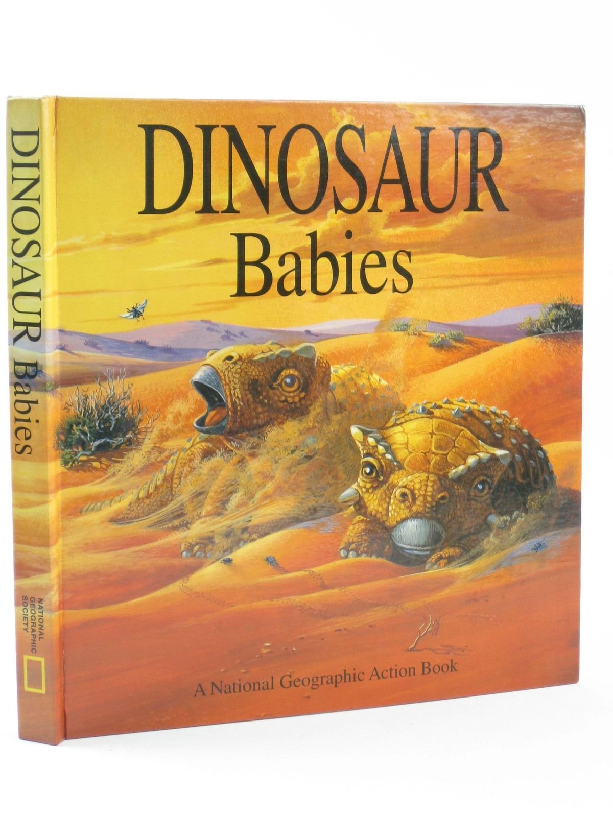 PopUp: Dinosaur Babies (A National Geograpic Action Book),Used