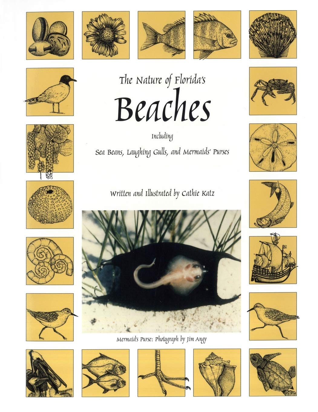 The Nature Of Florida'S Beaches: Including Sea Beans, Laughing Gulls And Mermaids' Purses,Used