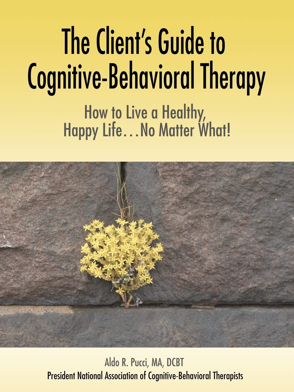 The Client's Guide to CognitiveBehavioral Therapy: How to Live a Healthy, Happy Life...No Matter What!,Used