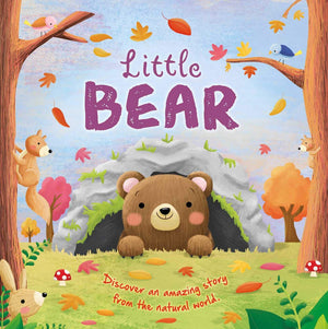 Little Bear,Used