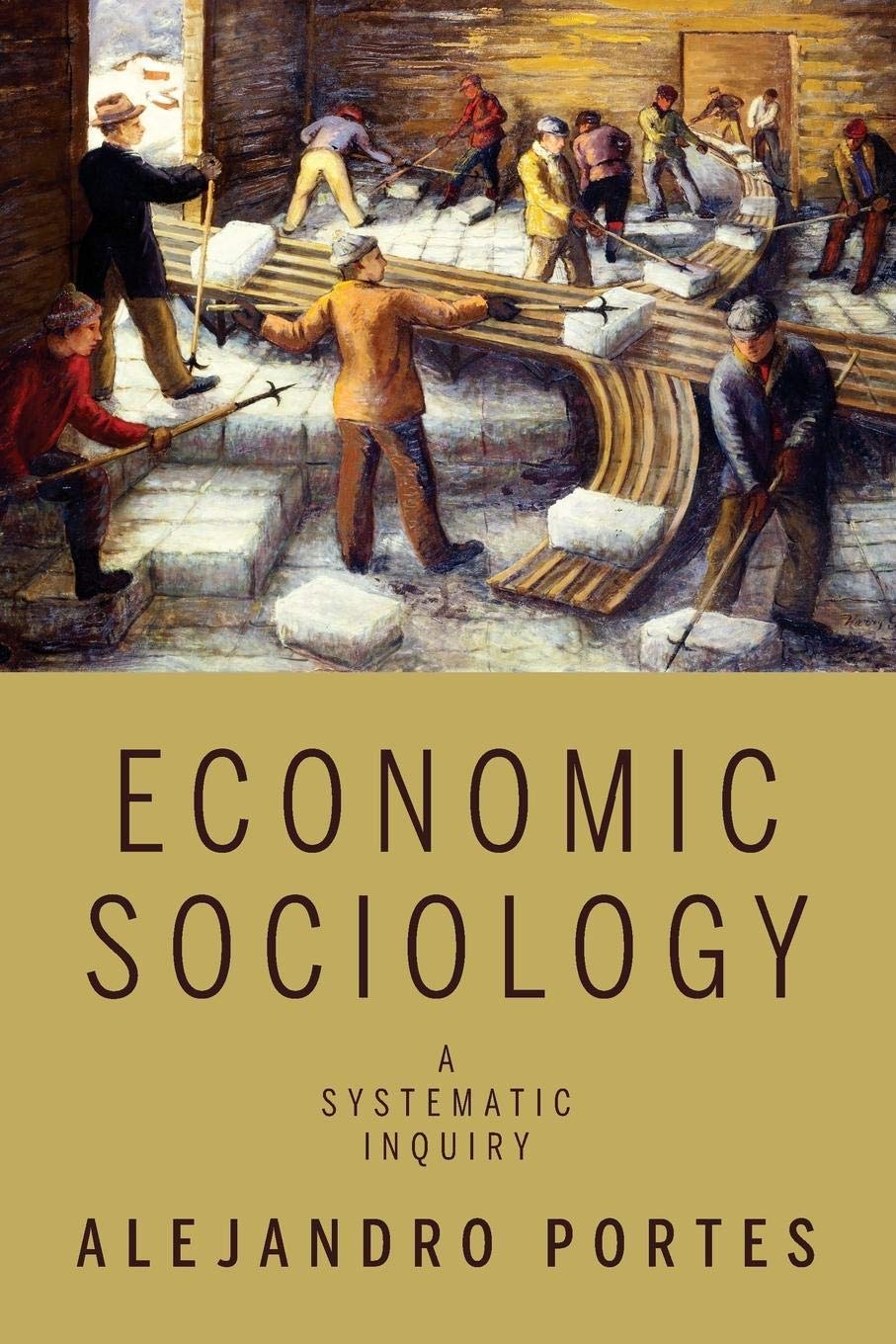 Economic Sociology: A Systematic Inquiry,Used