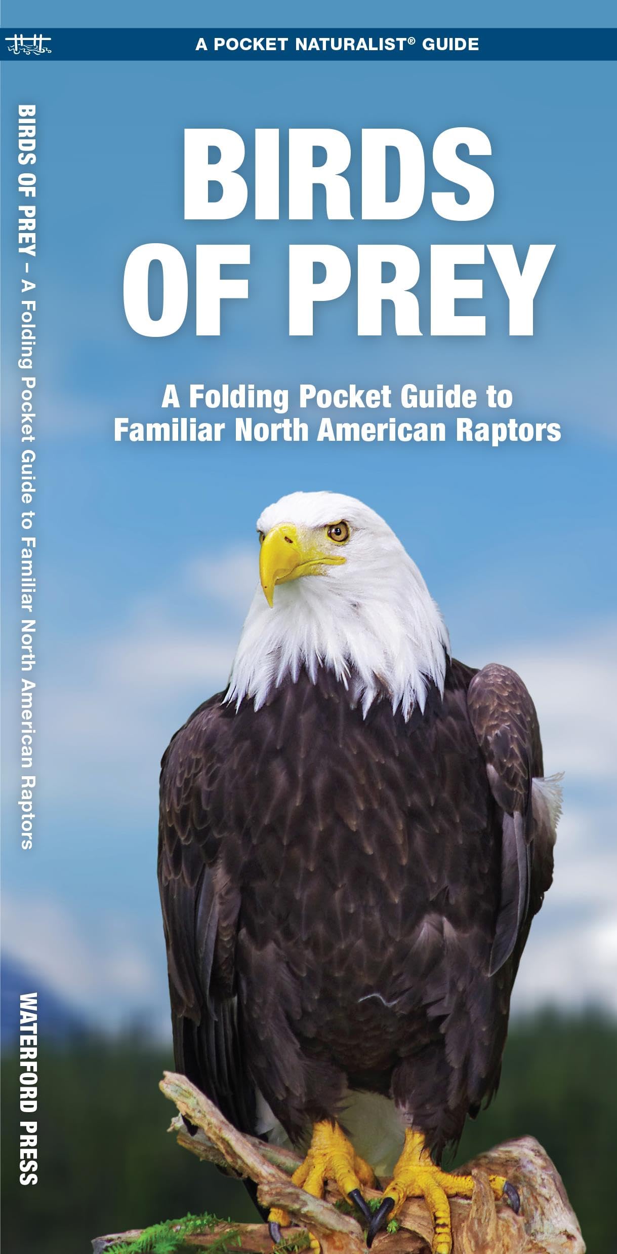 Birds of Prey: A Folding Pocket Guide to Familiar North American Raptors (Wildlife and Nature Identification),Used
