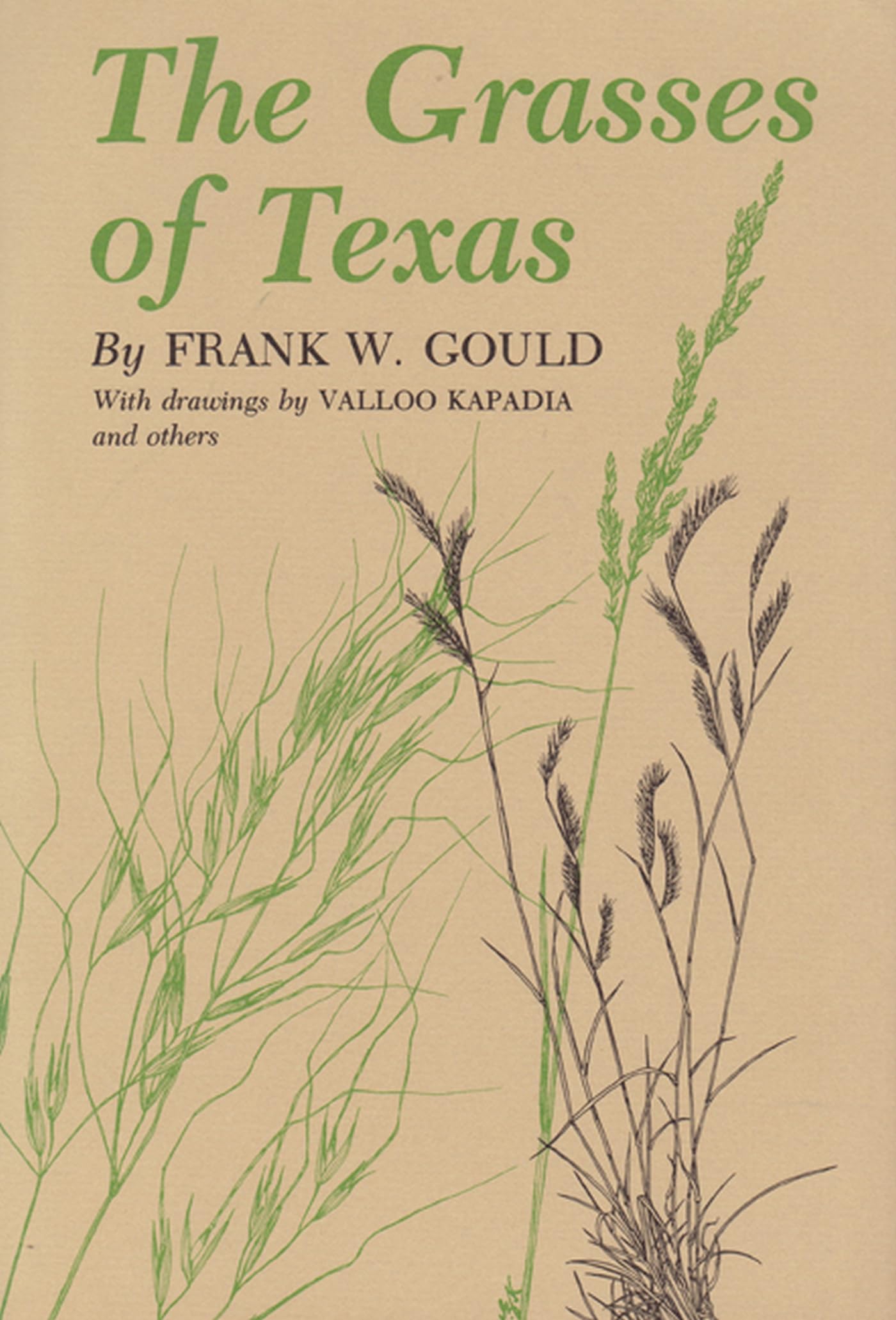 Grasses of Texas,Used