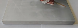 Assassins Creed 2 Collectors Edition: Prima Official Game Guide,New